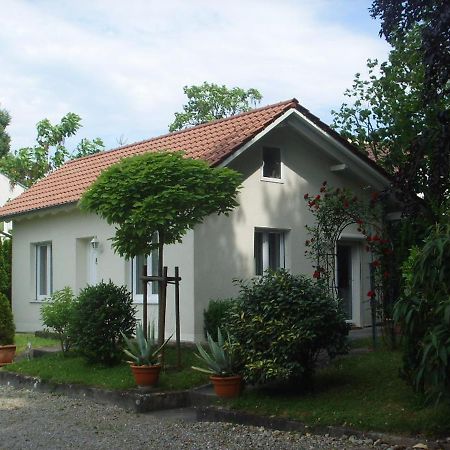 Villa Maja Markdorf Exteriör bild